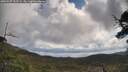./images/calvert/fitz-hugh-hecate/20250507/fitz-hugh-hecate20250507_102508M.jpg
