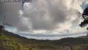./images/calvert/fitz-hugh-hecate/20250507/fitz-hugh-hecate20250507_103011M.jpg