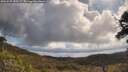 ./images/calvert/fitz-hugh-hecate/20250507/fitz-hugh-hecate20250507_103509M.jpg