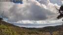 ./images/calvert/fitz-hugh-hecate/20250507/fitz-hugh-hecate20250507_104510M.jpg