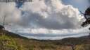 ./images/calvert/fitz-hugh-hecate/20250507/fitz-hugh-hecate20250507_105010M.jpg