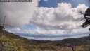 ./images/calvert/fitz-hugh-hecate/20250507/fitz-hugh-hecate20250507_110010M.jpg