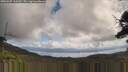 ./images/calvert/fitz-hugh-hecate/20250507/fitz-hugh-hecate20250507_110509M.jpg