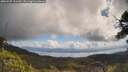 ./images/calvert/fitz-hugh-hecate/20250507/fitz-hugh-hecate20250507_111009M.jpg