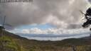 ./images/calvert/fitz-hugh-hecate/20250507/fitz-hugh-hecate20250507_111510M.jpg