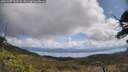 ./images/calvert/fitz-hugh-hecate/20250507/fitz-hugh-hecate20250507_112507M.jpg