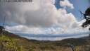 ./images/calvert/fitz-hugh-hecate/20250507/fitz-hugh-hecate20250507_113010M.jpg