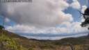./images/calvert/fitz-hugh-hecate/20250507/fitz-hugh-hecate20250507_113509M.jpg