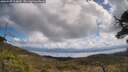 ./images/calvert/fitz-hugh-hecate/20250507/fitz-hugh-hecate20250507_114010M.jpg