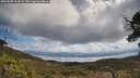 ./images/calvert/fitz-hugh-hecate/20250507/fitz-hugh-hecate20250507_114509M.jpg