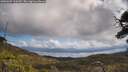 ./images/calvert/fitz-hugh-hecate/20250507/fitz-hugh-hecate20250507_120510M.jpg