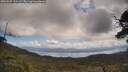./images/calvert/fitz-hugh-hecate/20250507/fitz-hugh-hecate20250507_123009M.jpg