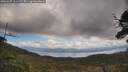 ./images/calvert/fitz-hugh-hecate/20250507/fitz-hugh-hecate20250507_123509M.jpg