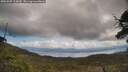 ./images/calvert/fitz-hugh-hecate/20250507/fitz-hugh-hecate20250507_124010M.jpg