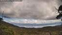 ./images/calvert/fitz-hugh-hecate/20250507/fitz-hugh-hecate20250507_124508M.jpg