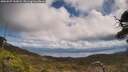 ./images/calvert/fitz-hugh-hecate/20250507/fitz-hugh-hecate20250507_130008M.jpg