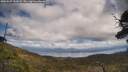 ./images/calvert/fitz-hugh-hecate/20250507/fitz-hugh-hecate20250507_131008M.jpg