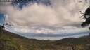 ./images/calvert/fitz-hugh-hecate/20250507/fitz-hugh-hecate20250507_131510M.jpg