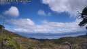 ./images/calvert/fitz-hugh-hecate/20250507/fitz-hugh-hecate20250507_134008M.jpg