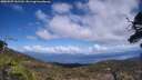 ./images/calvert/fitz-hugh-hecate/20250507/fitz-hugh-hecate20250507_143509M.jpg