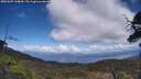 ./images/calvert/fitz-hugh-hecate/20250507/fitz-hugh-hecate20250507_144010M.jpg