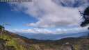 ./images/calvert/fitz-hugh-hecate/20250507/fitz-hugh-hecate20250507_145509M.jpg