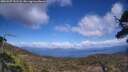 ./images/calvert/fitz-hugh-hecate/20250507/fitz-hugh-hecate20250507_151508M.jpg