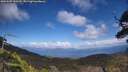 ./images/calvert/fitz-hugh-hecate/20250507/fitz-hugh-hecate20250507_152509M.jpg