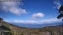 ./images/calvert/fitz-hugh-hecate/20250507/fitz-hugh-hecate20250507_153508M.jpg