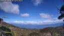 ./images/calvert/fitz-hugh-hecate/20250507/fitz-hugh-hecate20250507_154010M.jpg