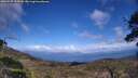 ./images/calvert/fitz-hugh-hecate/20250507/fitz-hugh-hecate20250507_155010M.jpg