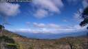 ./images/calvert/fitz-hugh-hecate/20250507/fitz-hugh-hecate20250507_160010M.jpg