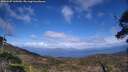 ./images/calvert/fitz-hugh-hecate/20250507/fitz-hugh-hecate20250507_160510M.jpg