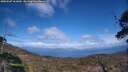 ./images/calvert/fitz-hugh-hecate/20250507/fitz-hugh-hecate20250507_161009M.jpg