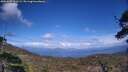 ./images/calvert/fitz-hugh-hecate/20250507/fitz-hugh-hecate20250507_161509M.jpg
