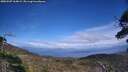 ./images/calvert/fitz-hugh-hecate/20250507/fitz-hugh-hecate20250507_164009M.jpg