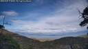 ./images/calvert/fitz-hugh-hecate/20250507/fitz-hugh-hecate20250507_174009M.jpg