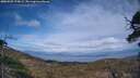 ./images/calvert/fitz-hugh-hecate/20250507/fitz-hugh-hecate20250507_175009M.jpg