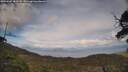 ./images/calvert/fitz-hugh-hecate/20250507/fitz-hugh-hecate20250507_181508M.jpg