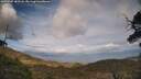 ./images/calvert/fitz-hugh-hecate/20250507/fitz-hugh-hecate20250507_182508M.jpg