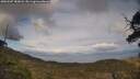 ./images/calvert/fitz-hugh-hecate/20250507/fitz-hugh-hecate20250507_183008M.jpg