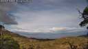 ./images/calvert/fitz-hugh-hecate/20250507/fitz-hugh-hecate20250507_184009M.jpg