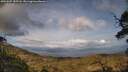 ./images/calvert/fitz-hugh-hecate/20250507/fitz-hugh-hecate20250507_185508M.jpg