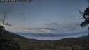 ./images/calvert/fitz-hugh-hecate/20250507/fitz-hugh-hecate20250507_211508M.jpg