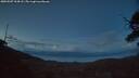 ./images/calvert/fitz-hugh-hecate/20250507/fitz-hugh-hecate20250507_214508M.jpg