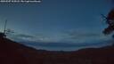 ./images/calvert/fitz-hugh-hecate/20250507/fitz-hugh-hecate20250507_215008M.jpg