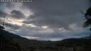 ./images/calvert/fitz-hugh-hecate/20250508/fitz-hugh-hecate20250508_053009M.jpg