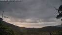 ./images/calvert/fitz-hugh-hecate/20250508/fitz-hugh-hecate20250508_062510M.jpg