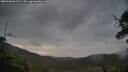./images/calvert/fitz-hugh-hecate/20250508/fitz-hugh-hecate20250508_063509M.jpg