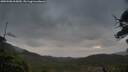 ./images/calvert/fitz-hugh-hecate/20250508/fitz-hugh-hecate20250508_065010M.jpg
